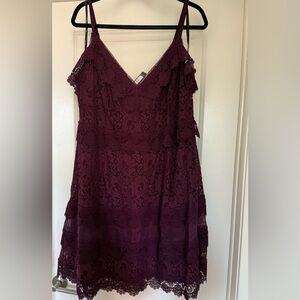 City Chic Plum Lace Mini Dress